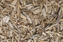 biomass boilers Nantithet